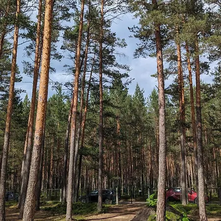 Pine Forest House 2 Appartement