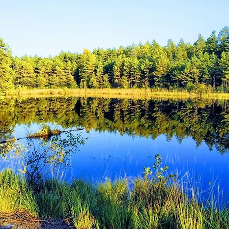 Pine Forest House 2 * Gauja (Carnikava)